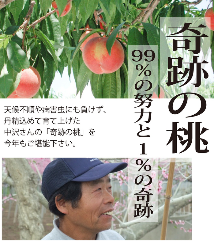 中沢さんの　奇跡の桃のサムネイル画像