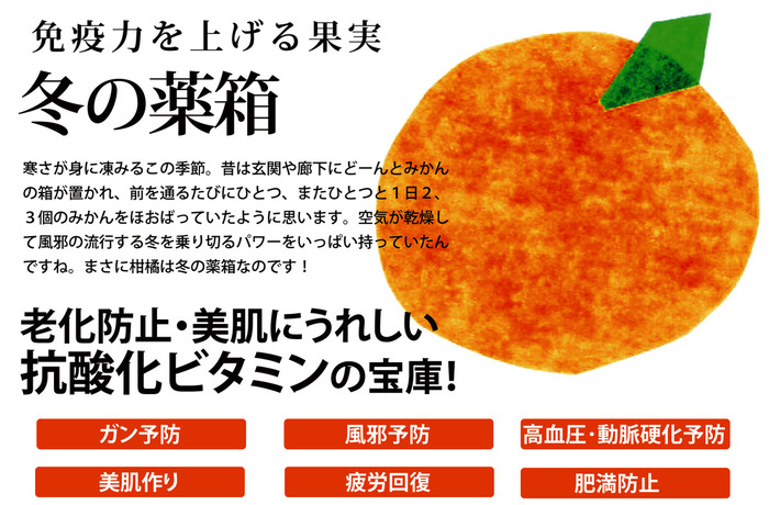 冬の薬箱柑橘１