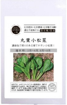 自然農法の種 　丸葉小松菜
