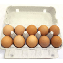 安全卵　(高知の卵)　10個入