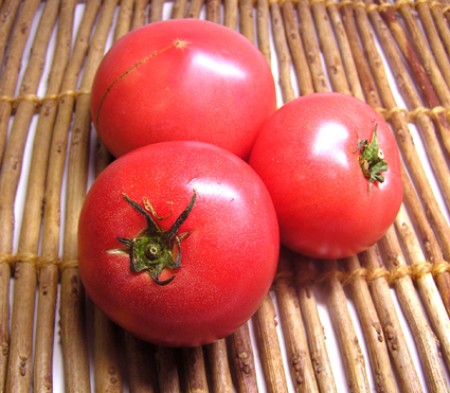 トマト　約300g　(大分県産)