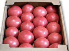 俣野さんの　有機トマト　4kg箱　(北海道産)