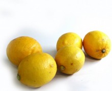 レモン　約1kg(神奈川県)